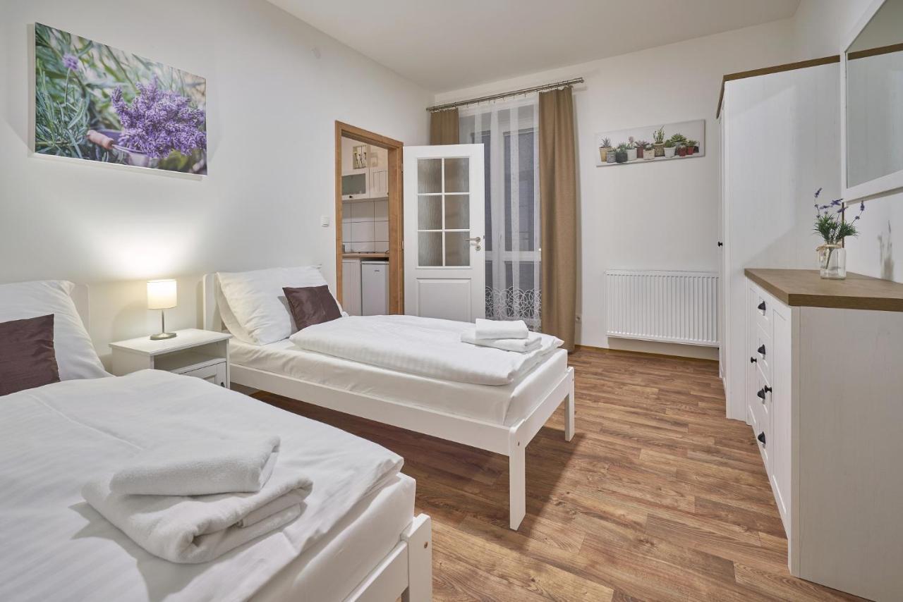 Pension Varta Janske Lazne Exterior photo